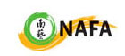 Nanyang Academy of Fine Arts (NAFA)