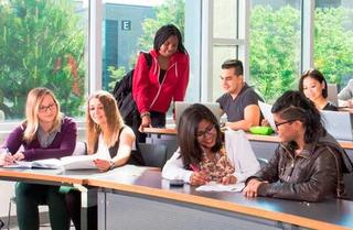 Ontario College Graduate Certificate in Human Resources Management [Optional Co-Op]